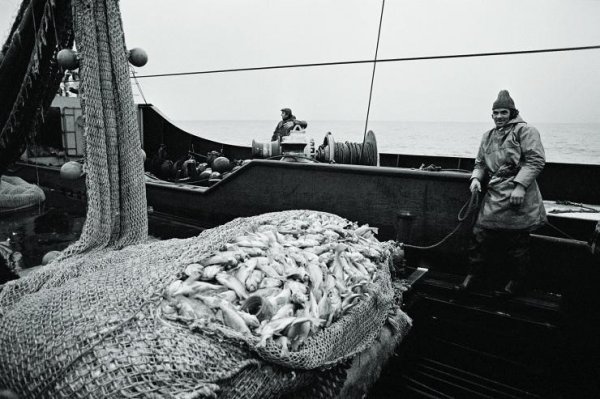 纽芬兰渔场形成的原因