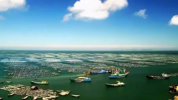 纽芬兰渔场形成的原因