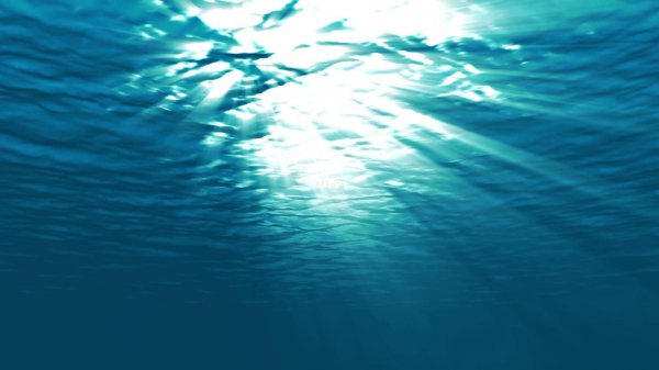 纽芬兰渔场形成的原因