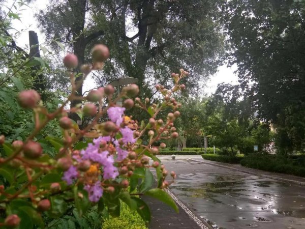 五彩绳是哪五种颜色