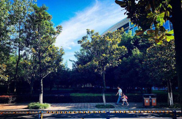 考上西南政法大学意味着什么