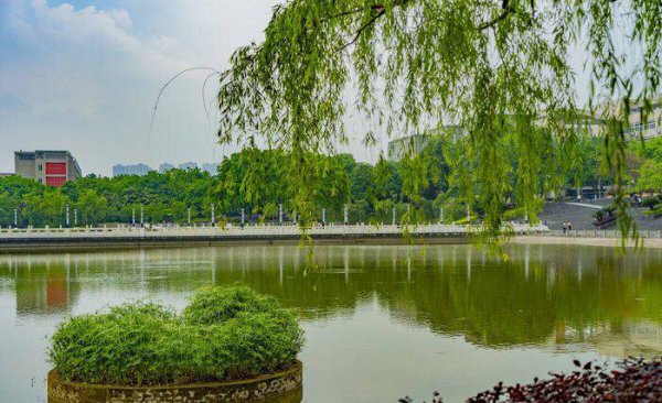 考上西南政法大学意味着什么