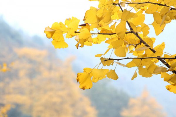 男人想分手又不说的表现