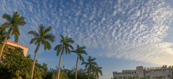 海南大学211企业认可吗