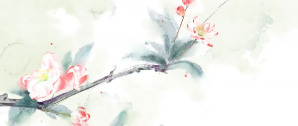 古代岁数的称呼从小到大