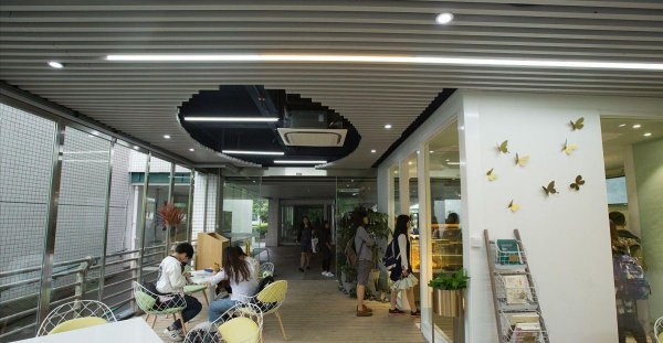 浙江大学a类学科名单