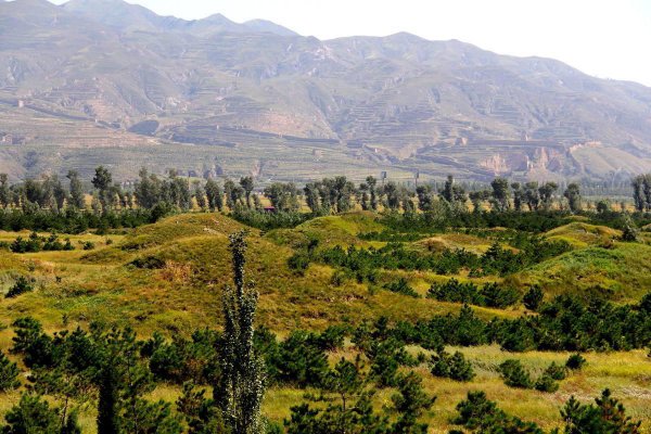 陈后主和李煜什么关系