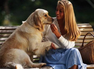 心理学分析喜欢狗的女人性格 喜欢小动物女人内心的心理