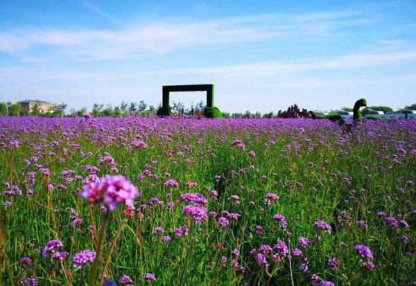 宁夏的省会是哪个城市