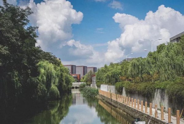 南京大学在哪个省份哪个地区