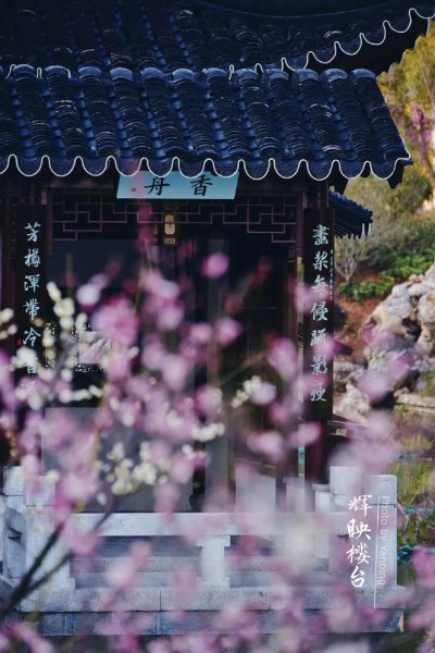 南京大学在哪个省份哪个地区