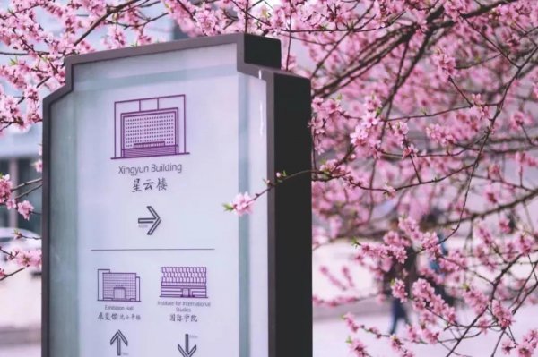 南京大学在哪个省份哪个地区