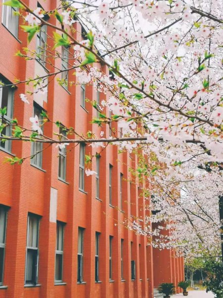 南京大学在哪个省份哪个地区