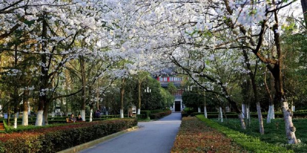 南京大学在哪个省份哪个地区