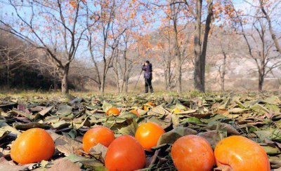 成大事者的三个境界什么意思 古之成大事者的境界条件