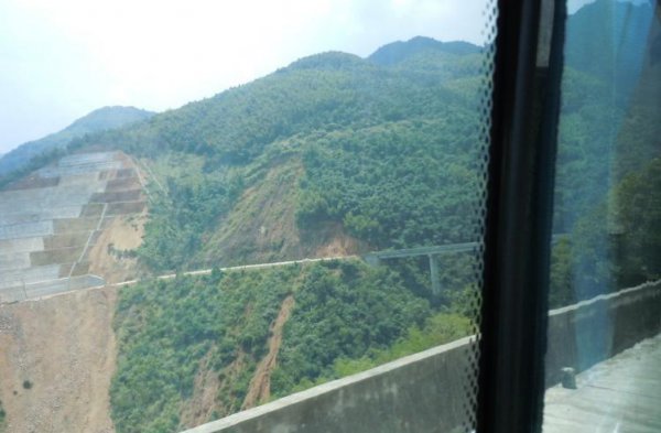 树葬是什么意思