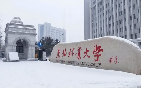 考研最容易上岸的211大学