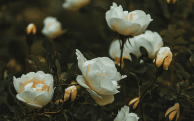 隔三差五联系你的男人啥意思 一个男人经常联系你的目的