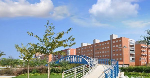 深圳技术大学值得去吗