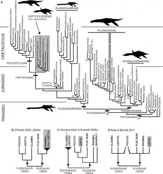 澳宝是什么宝石