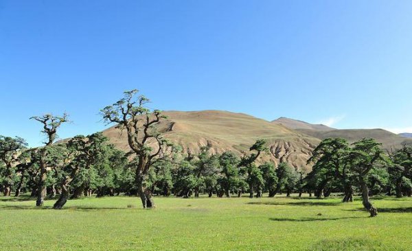 西藏山南市错那县海拔多少米