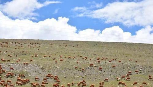 西藏山南市错那县海拔多少米
