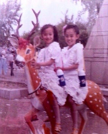 王珞丹的个人资料简介