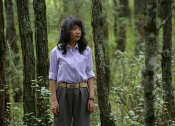 征服李梅是谁扮演的