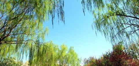 双河市属于哪个州