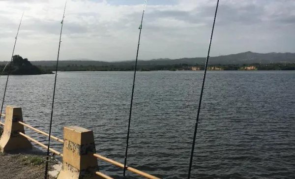 矶竿和海杆有什么不一样