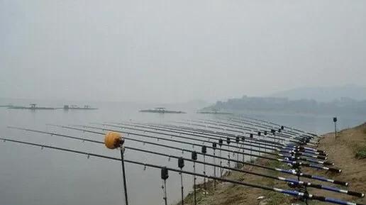 矶竿和海杆有什么不一样