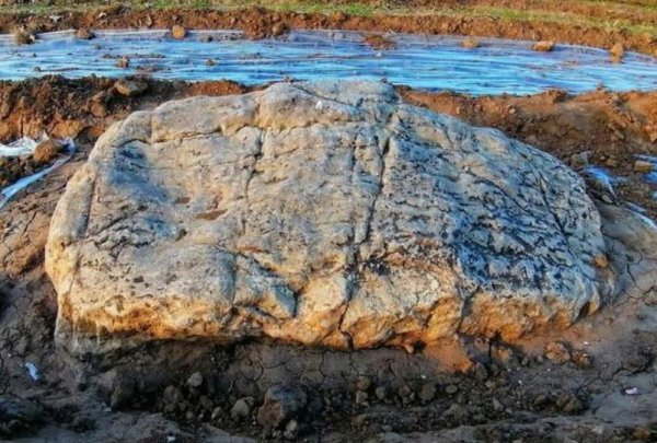 世界最矮的山是哪个山