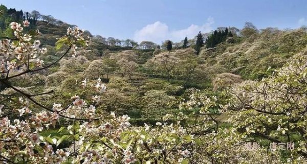 正安县属于哪个市