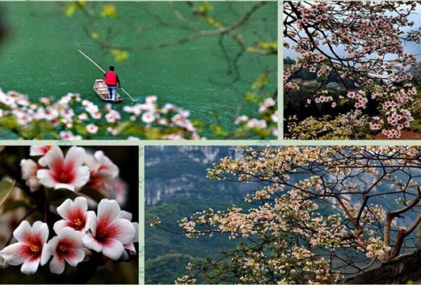 正安县属于哪个市