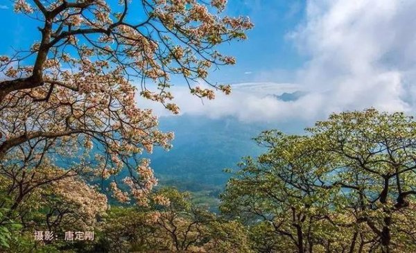 正安县属于哪个市