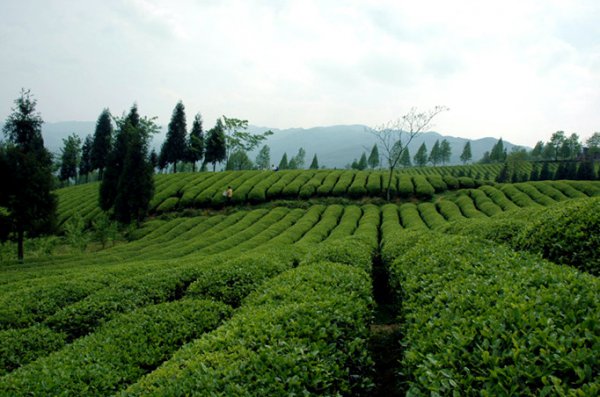 正安县属于哪个市