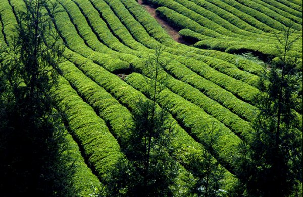 正安县属于哪个市