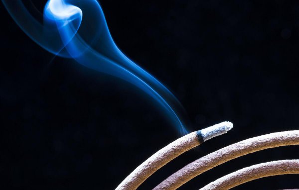 温故而知新的故是什么意思