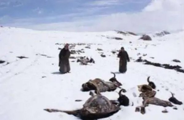 梅里雪山禁止攀登真相