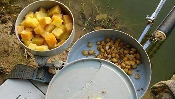 野钓鲤鱼用什么商品饵料最好