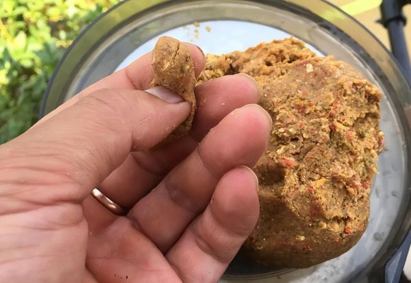 野钓鲤鱼用什么商品饵料最好