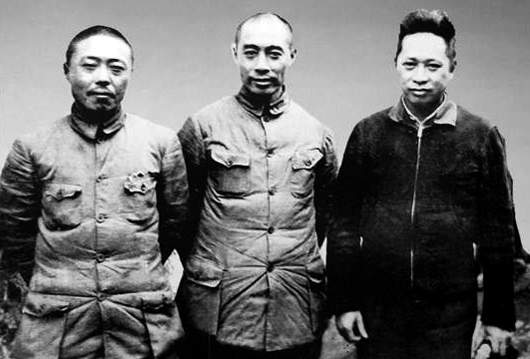 八路军和新四军的区别在哪里