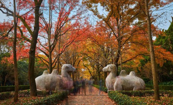 朱元璋的儿子们的结局是什么