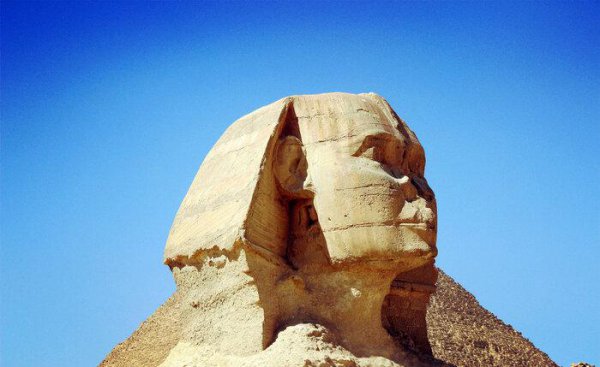 历史系真的很难就业吗