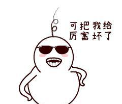 上海几个区分别叫什么