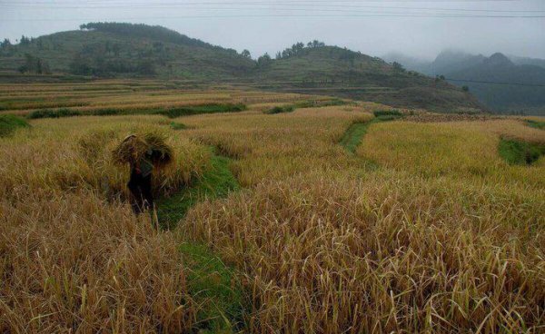奴隶制和封建制区别和联系