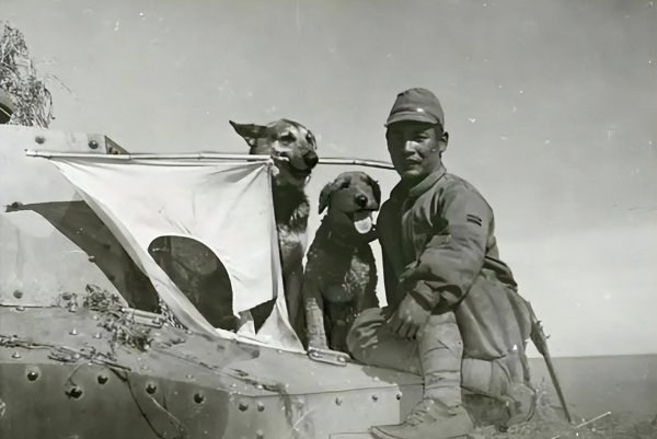 有骨气的人物事例