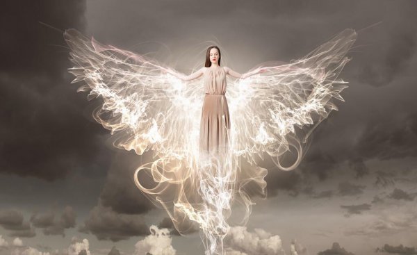 天堂已被科学家证实