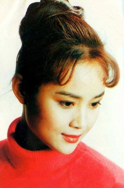 茹萍演过的电视剧全部名字