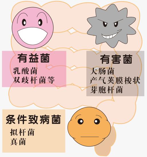 人死后的身体变化过程